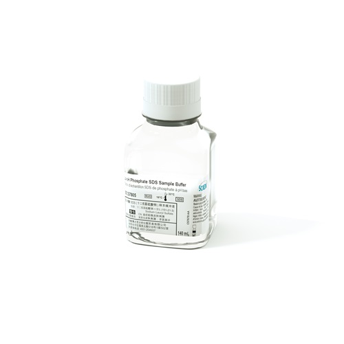 Low pH Phosphate SDS Sample Buffer Produktbild Front View L-internal