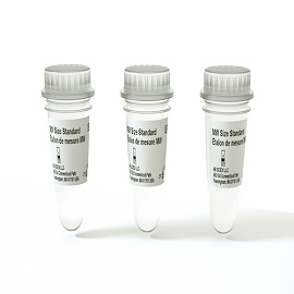 Molecular Weight Sizing Standard - 3 Pack Produktbild